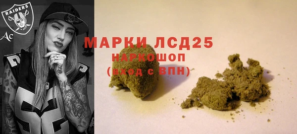 mdpv Бородино
