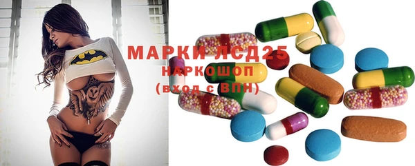 mdpv Бородино