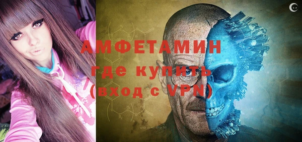 mdpv Бородино