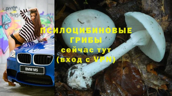 стаф Бронницы