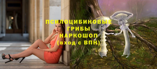 стаф Бронницы