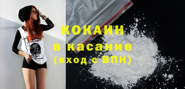 mdpv Бородино