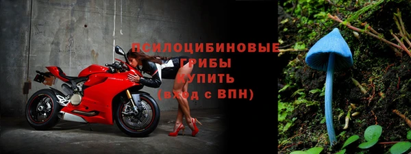 mdpv Бородино