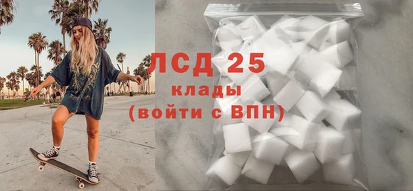 mdpv Бородино